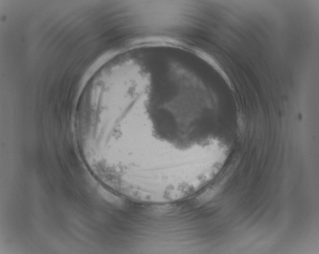 X0000078301482200612011822