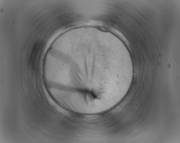 X0000078301483200612011822