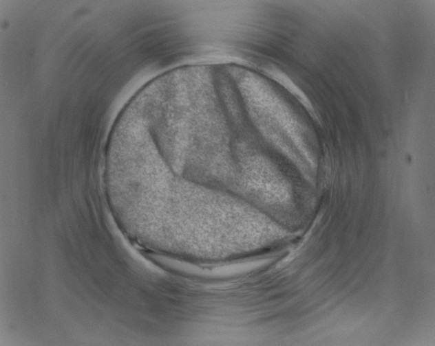 X0000078301484200612011822