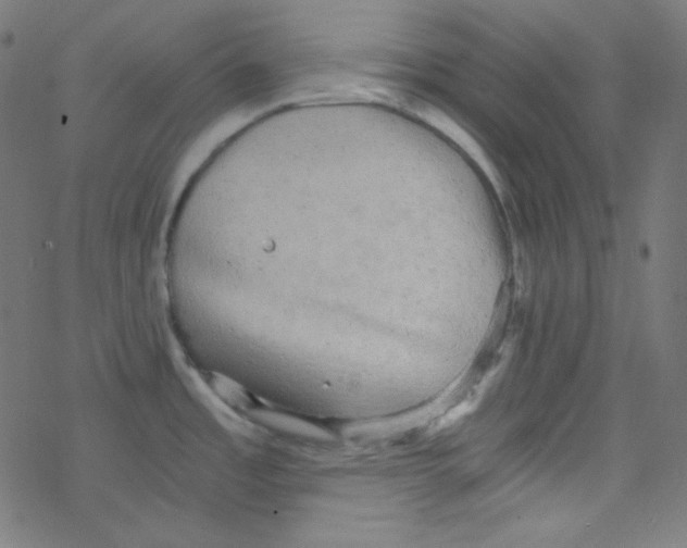 X0000078301485200612011822