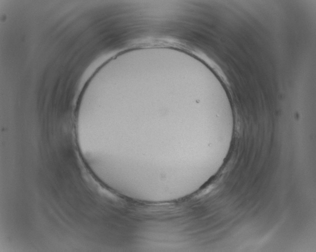 X0000078301486200612011822