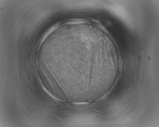 X0000078301487200612011822