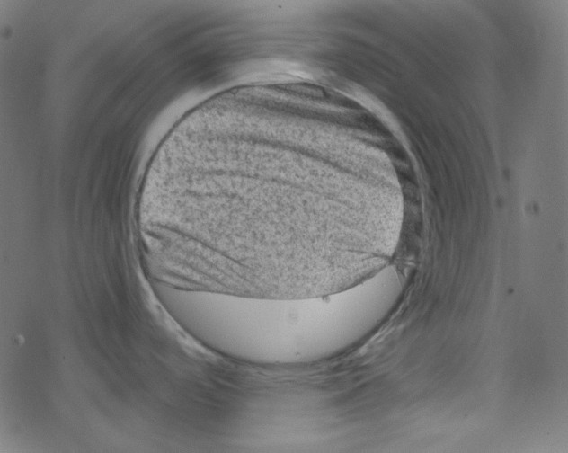 X0000078301488200612011822