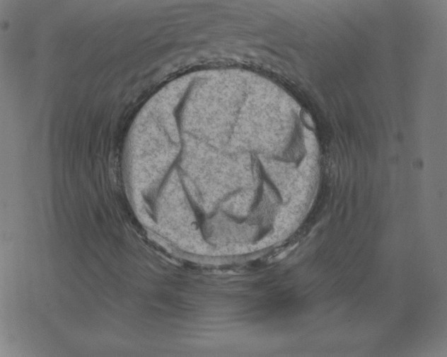 X0000078301490200612011821