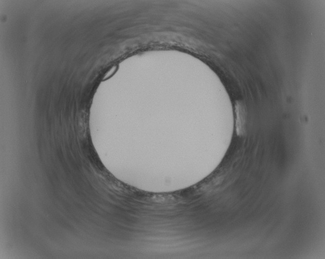 X0000078301491200612011821