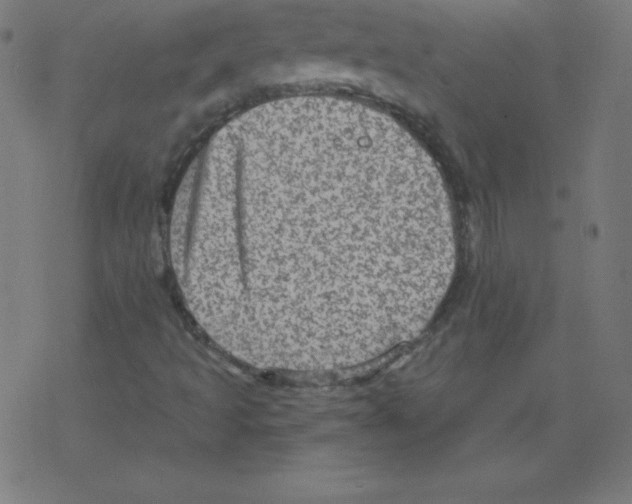 X0000078301493200612011821