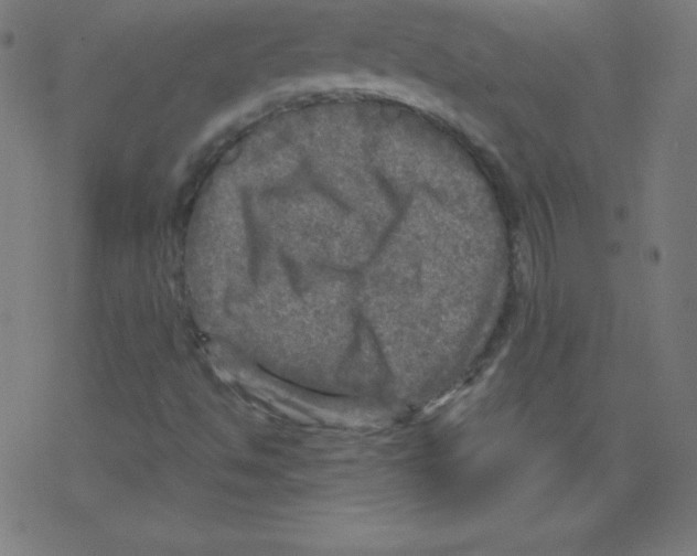 X0000078301494200612011821