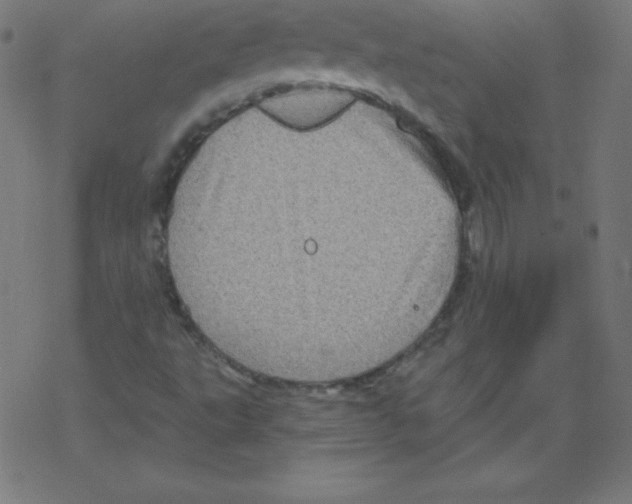 X0000078301495200612011821