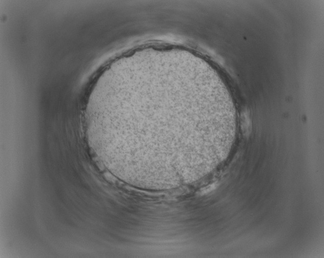 X0000078301496200612011821