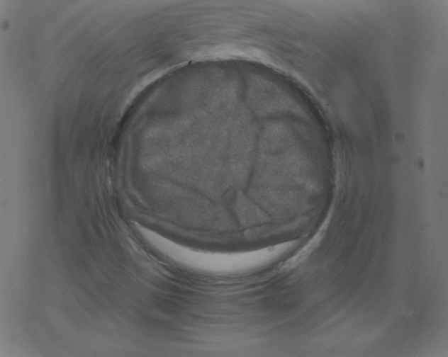 X0000078301497200612011821