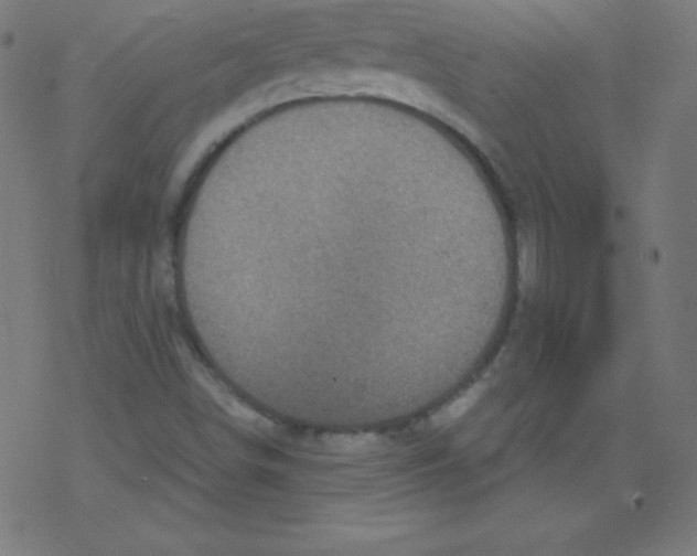 X0000078301498200612011821