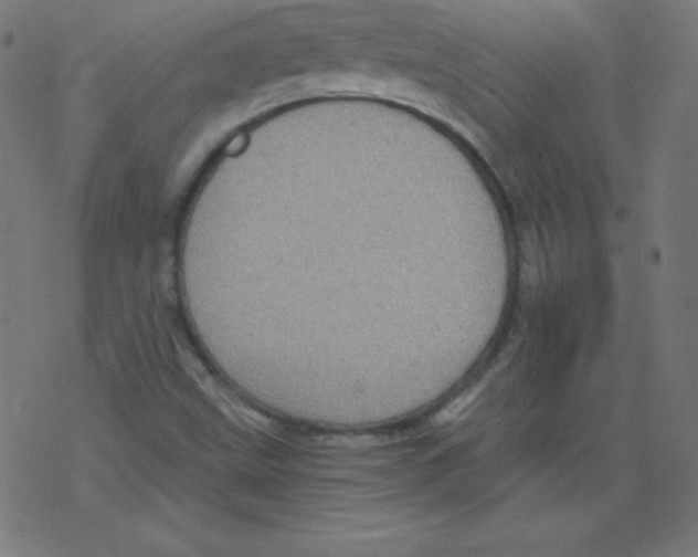 X0000078301499200612011821