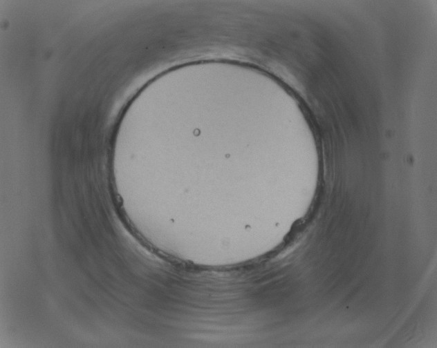 X0000078301500200612011821