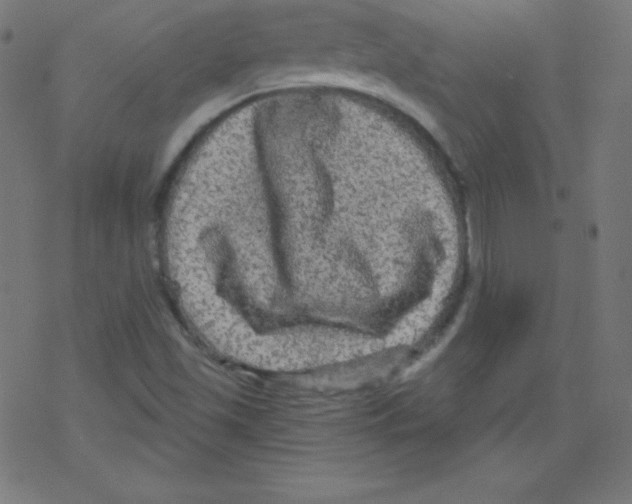 X0000078301501200612011821