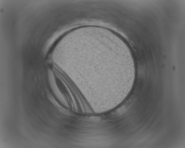 X0000078301503200612011821