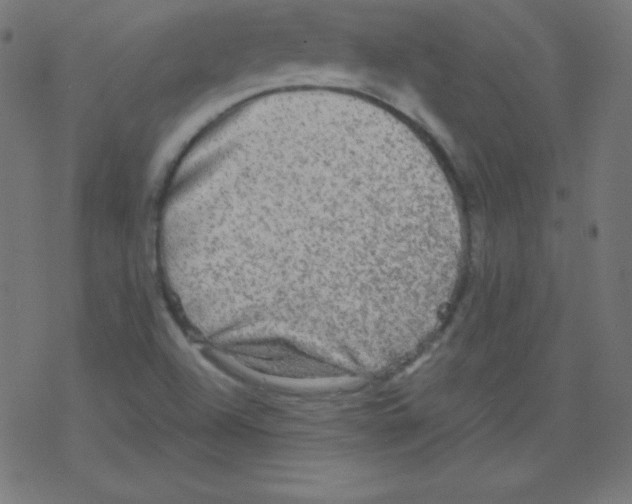 X0000078301504200612011821