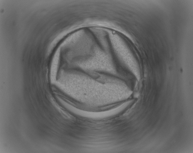 X0000078301507200612011821