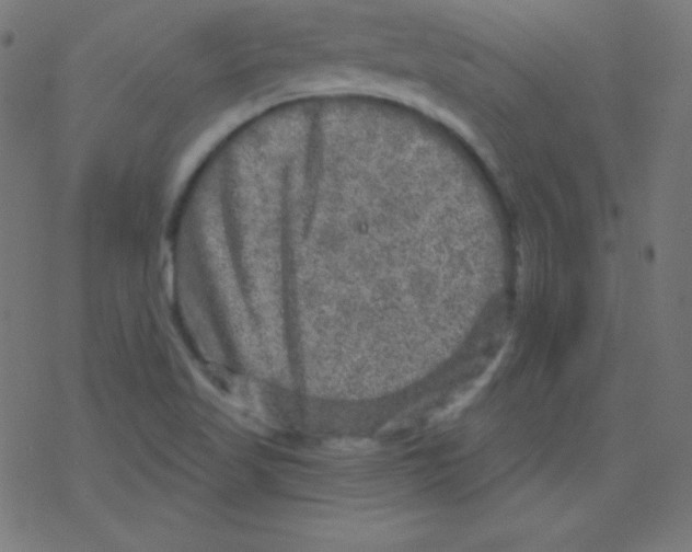 X0000078301509200612011821