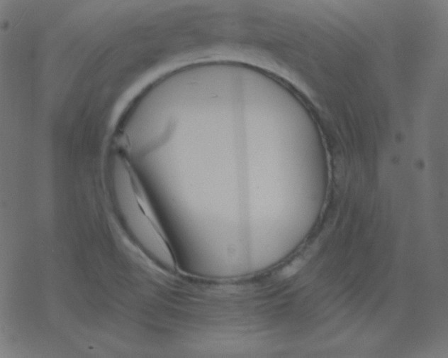 X0000078301510200612011822