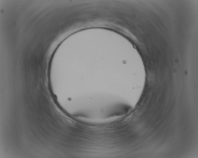 X0000078301512200612011822