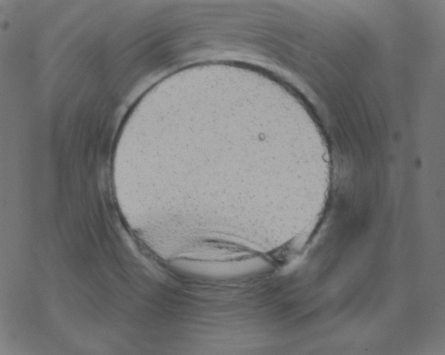 X0000078301513200612011822