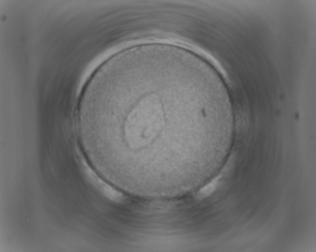 X0000078301514200612011822