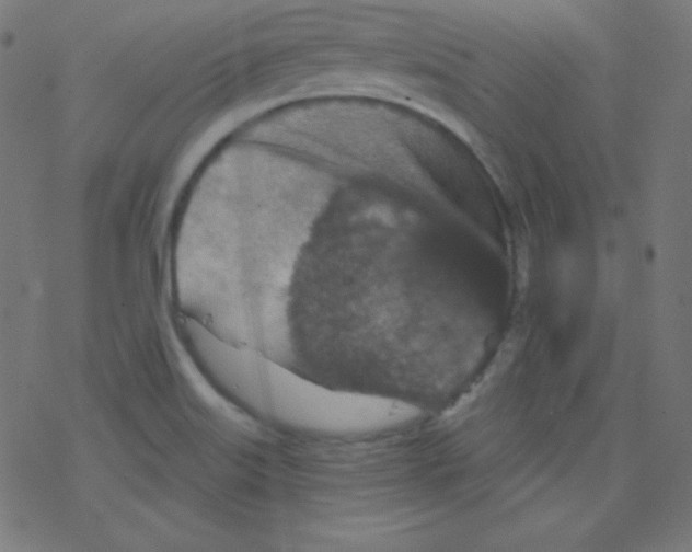 X0000078301515200612011822