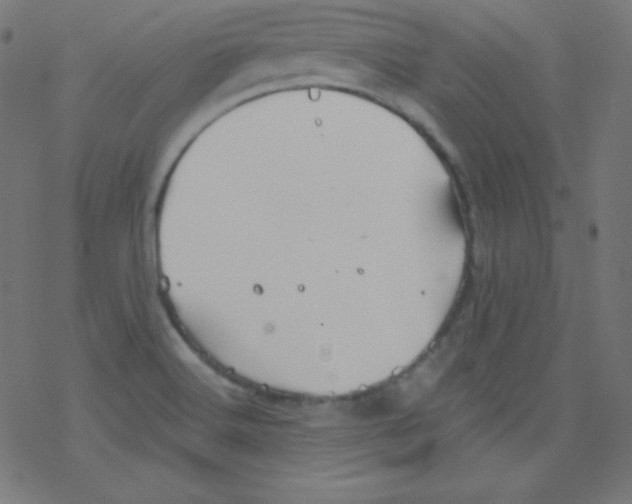 X0000078301516200612011822