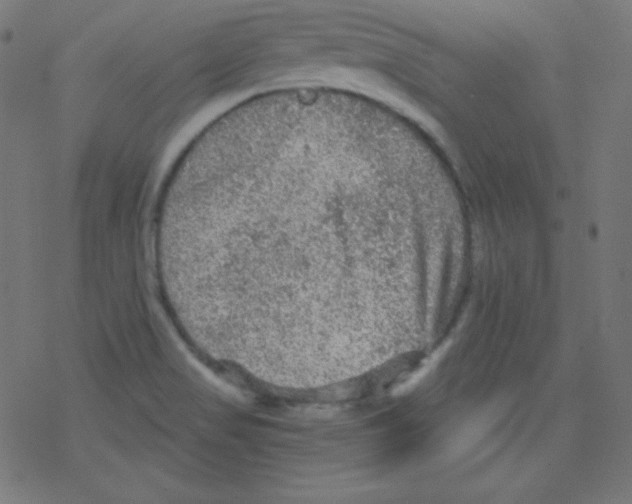 X0000078301517200612011822