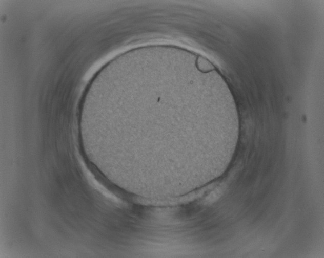 X0000078301518200612011822