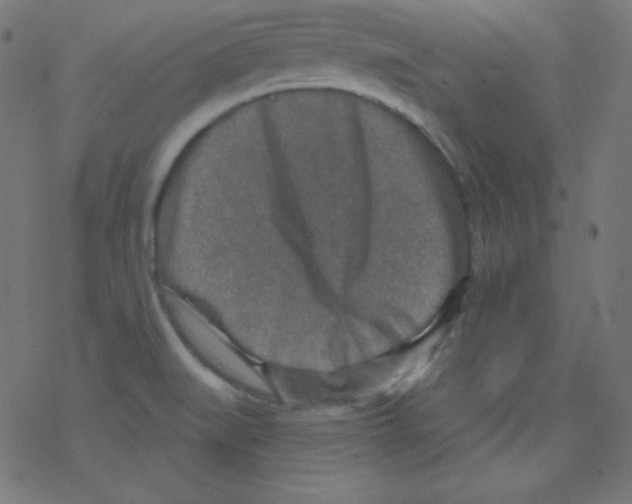 X0000078301519200612011822