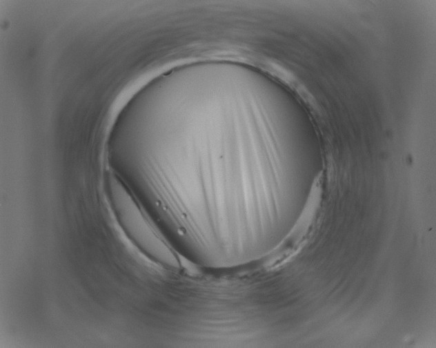 X0000078301520200612011822