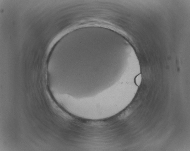 X0000078301522200612011822