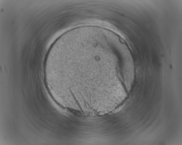 X0000078301523200612011822