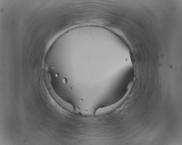 X0000078301524200612011822