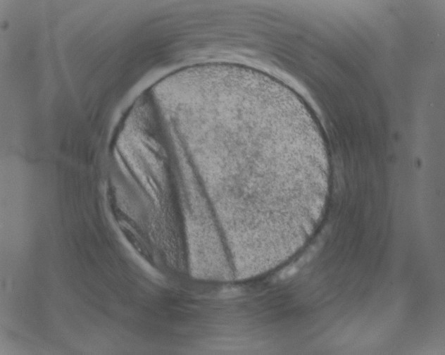 X0000078301525200612011822