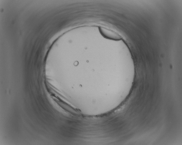 X0000078301526200612011822