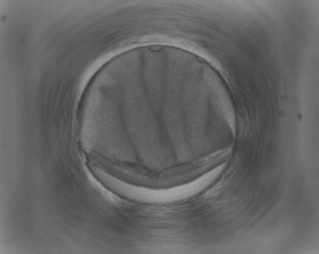 X0000078301527200612011822