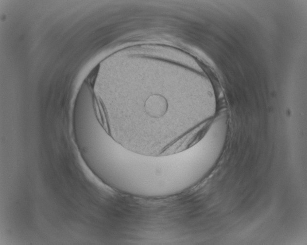 X0000078301528200612011822