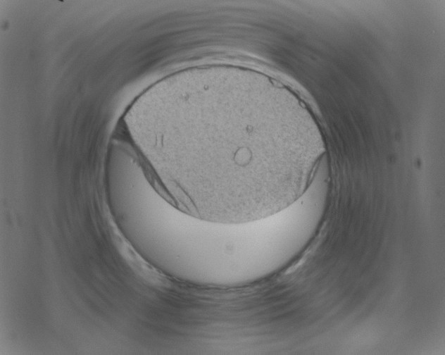 X0000078301530200612011822