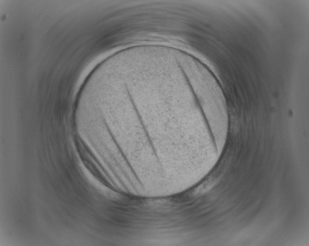 X0000078301531200612011822