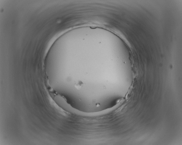 X0000078301532200612011822