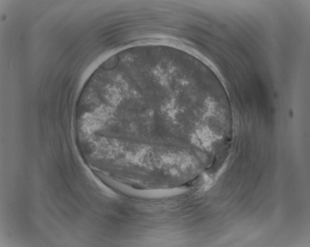 X0000078301533200612011822