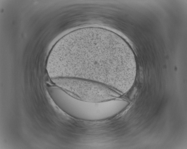 X0000078301534200612011822