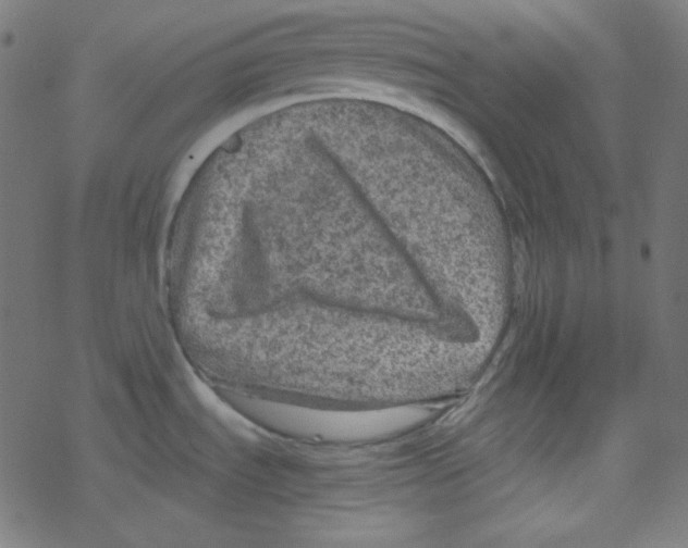 X0000078301535200612011822