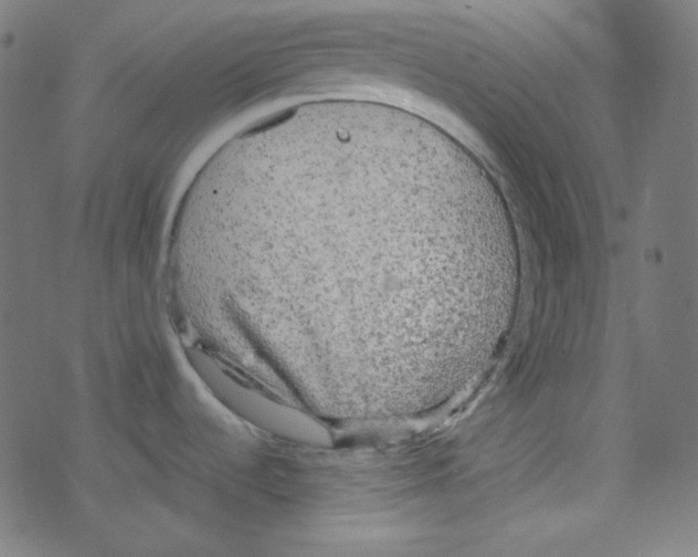 X0000078301536200612011822