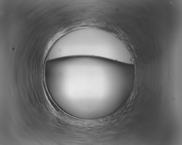 X0000078310003200611031059