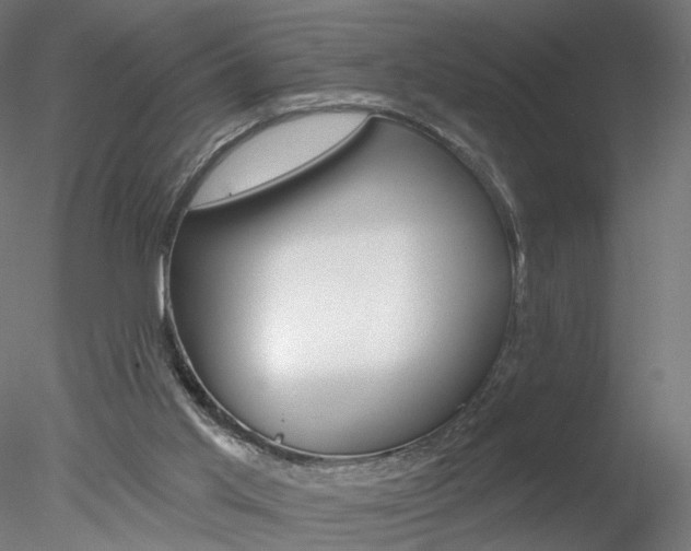 X0000078310013200611031059