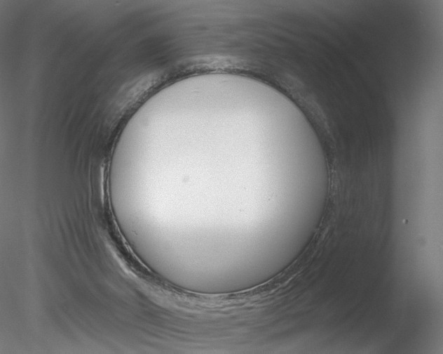 X0000078310014200611031059