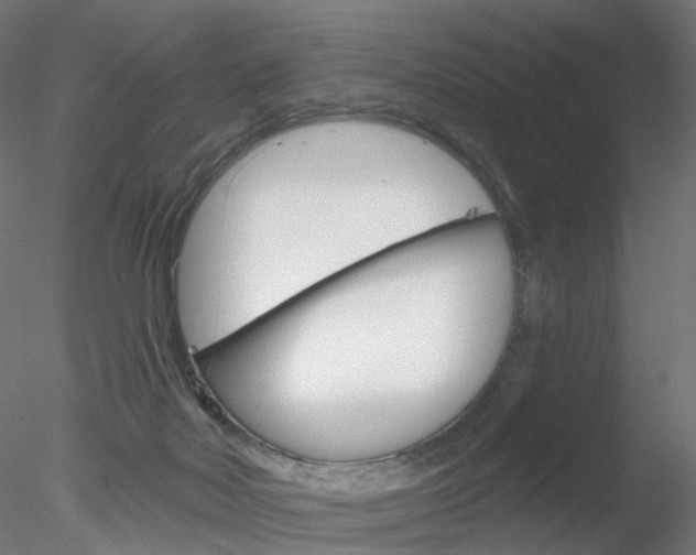 X0000078310026200611031059